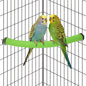 Rypet Parrot Perch Stand Toy Used for Cage Corner for Paw Grinding Clean Stick Exercise, Rough-Surfaced Quartz Bird Perch Standing Cage Accessorie for for Small Parakeets Cockatiel Conures (Green S)