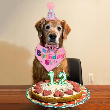 ADOGGYGO Dog Birthday Party Supplies, Pink Girl Dog Birthday Bandana Hat Numbers Bow Set for Medium Large Dogs (Large)