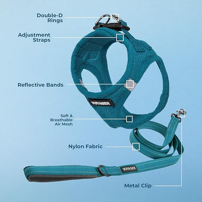 Best Pet Supplies Voyager Step-in Air All Weather Mesh Harness and Reflective Dog 5 ft Leash Combo with Neoprene Handle, for Small, Medium and Large Breed Puppies - Set (Turquoise), XXS