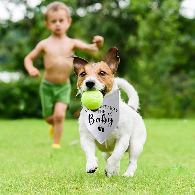 Pregnancy Announcement Dog Bandana I Thought I was The Baby Gender Reveal Dog Baby Coming Soon Announcement Photo Props for Large Medium Small Dogs