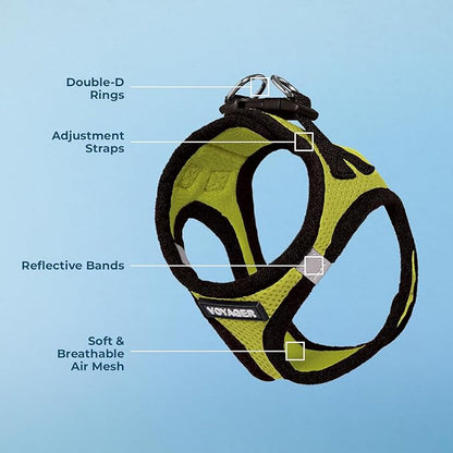 Best Pet Supplies Voyager Step-in Air Harness - All Weather Mesh, Reflective, No Pull Harness for Dogs, Cats - Secure with Hook & Loop Fastener, Buckle, Double D-Rings - Lime Green/Black Trim, XXXS
