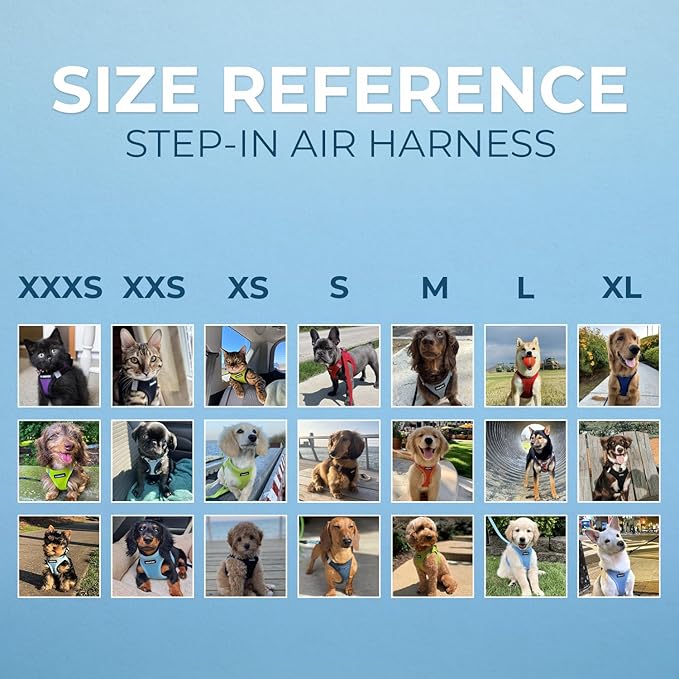 Best Pet Supplies Voyager Step-in Air All Weather Mesh Harness and Reflective Dog 5 ft Leash Combo with Neoprene Handle, for Small, Medium and Large Breed Puppies - Set (Baby Blue), XXS