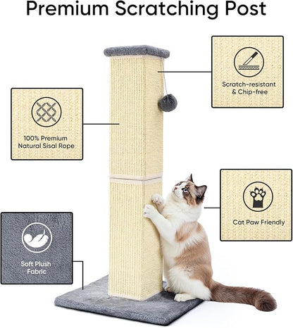 32" Tall Cat Scratching Post for Large Indoor Cats & Kittens, Cat Scratcher with Extra Large Stable Base and Natural Sisal, Sturdy Cat Scratch Post to Protect Furniture & Couch, Grey