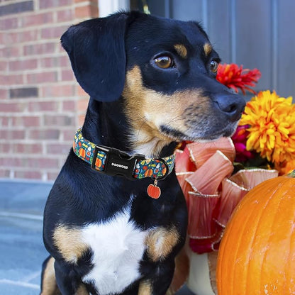 DOGWONG Fall Pumpkin Dog Collar, Fall Maple Leaf Dog Collars Adjustable Halloween Pumpkin Dog Collars for Small Medium Large Dogs S