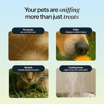 Blueair PetAir Air Purifier for Pets with Built-In Pet Bed, H13 True HEPA, 5-Stage Filtration, Smart Auto Mode, Removes Pet Dander, Hair, Odors & Allergens, Large Rooms up to 1300 sq ft