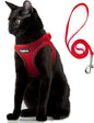 PetiFine Cat Harness and Leash Set,Escape Proof Kitten Harness Reflective,Soft Lightweight Puppy Harness for Walking and Travelling(XXS, Red)