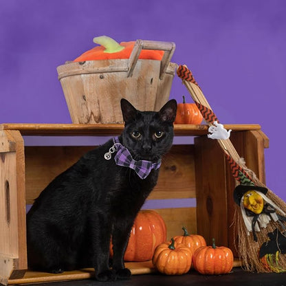 ADOGGYGO Halloween Cat Collars Breakaway with Removable Bowtie Bell, 2 Pack Orange Purple Plaid Halloween Bow Collar for Cats Kittens