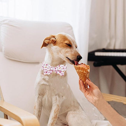 Lionheart glory Dog Collar Shark Print Dogs Bow Collar Adjustable Soft Pink Dog Collars Male or Female Summer Spring Collars with Bowtie for Small Dogs Puppy