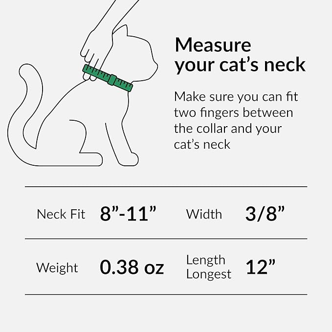 CollarDirect Leather Cat Collar with Removable Bell (Beige, 8-11 Inch)