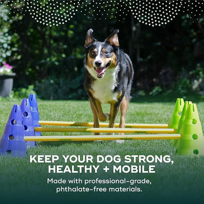 FitPAWS Ball Dynamics CanineGym Agility Kit