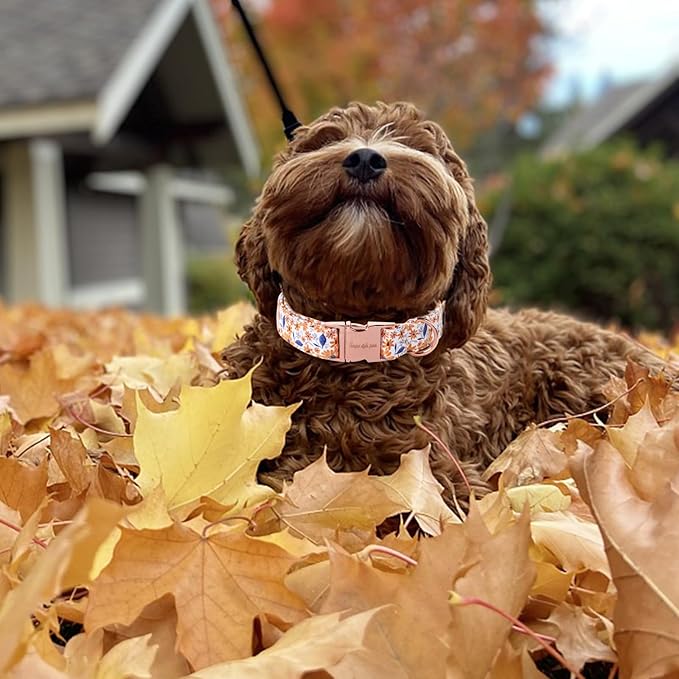 Unique style paws Dog Collar Metal Buckle Collar for Autumn Winter Christmas for Small Medium Large Boys Girls Dogs