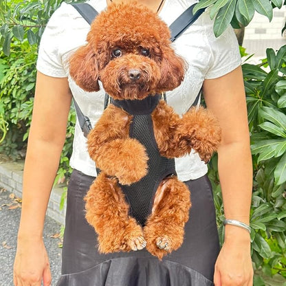 Pet Dog Carrier Backpack, Portable Breathable Mesh Chest Carrier, Polyester Woven Double Shoulder Pet Bag for Outdoor Adventures (Black, Medium)