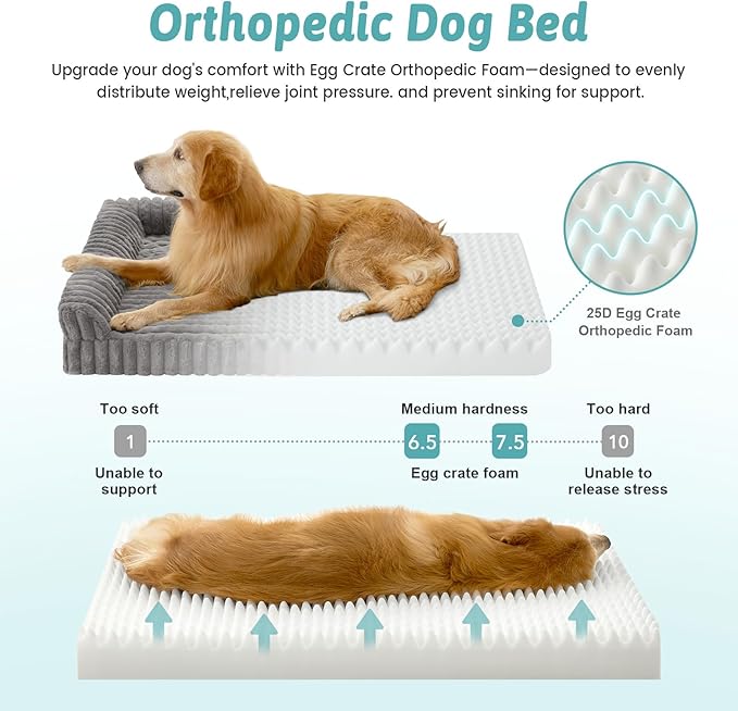 Cute Dog Bed, Faux Rabbit Fur Orthopedic Foam Dog Bed with Sides, Removable Washable Cover & Waterproof Lining, Comfortable Pet Couch for Extra Large Dogs, Grey (48" L x 35" W x 7.5" Th)