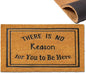 Assaoy There is no Reason for You to be Here Unwelcome mat Funny Door Mats Outside Coir Doormat for Home Entrance,Front Floor Rubber Mat Indoor Outdoor Spring mats Heavy Duty Backing Patio 30”x18 in