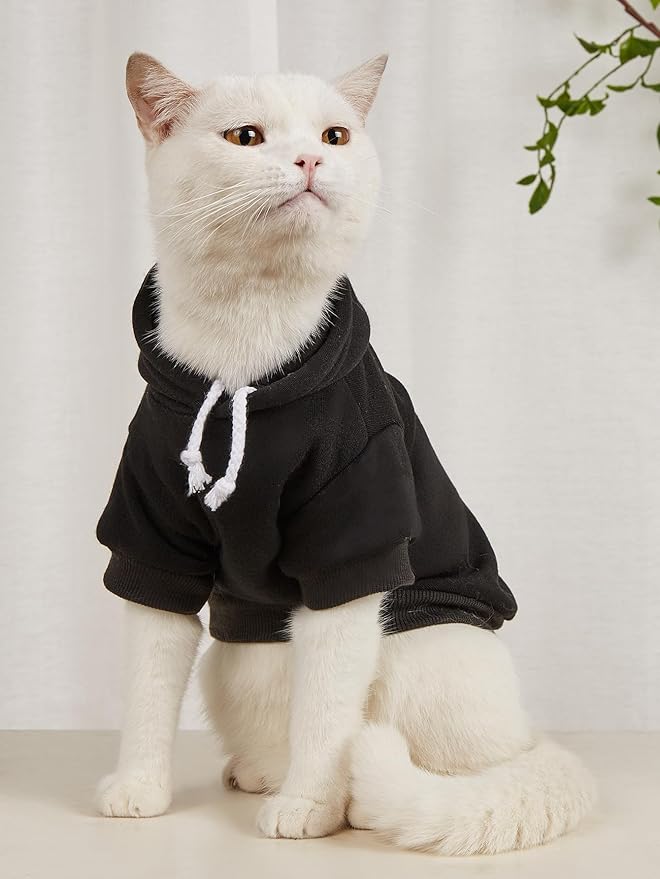 QWINEE Basic Dog Hoodie Sweatshirt Puppy Sweater Warm Cat Costumes Pet Clothes for Chihuahua Puppy Kitten Small Medium Dogs Multicolored Medium