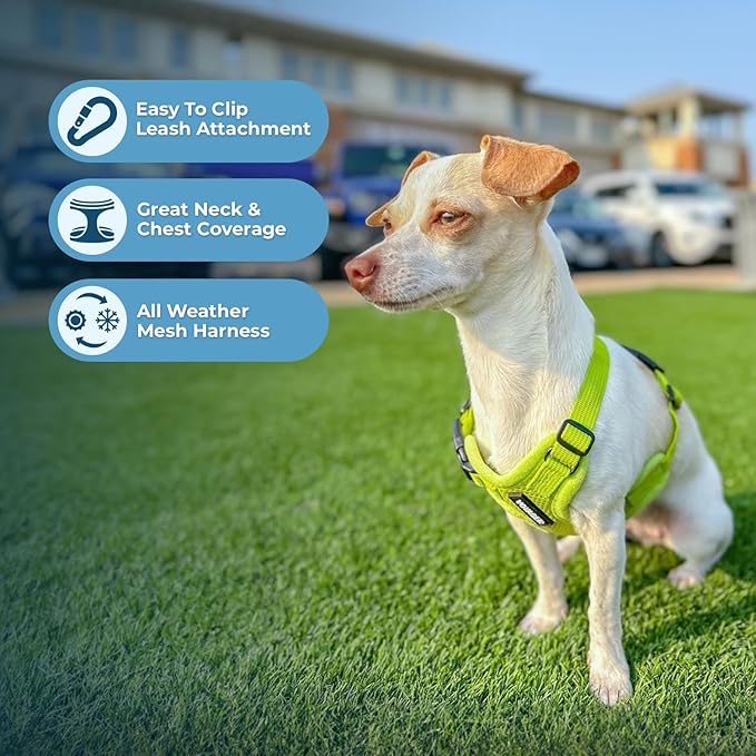 Best Pet Supplies Voyager Step-in Air All Weather Mesh Harness and Reflective Dog 5 ft Leash Combo with Neoprene Handle, for Small, Medium and Large Breed Puppies - Set (Lime Green), XS