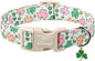 St Patricks Day Dog Collar for Medium Dogs - Cute Pastel Lucky Clover Dog Collars, Lightweight Adjustable Irish Green Festival Dogs Collars with Quick Release Buckle M