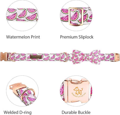 Elegant little tail Dog Collar, Watermelon Print Pet Collar Summer Dog Collar Durable Metal Buckle Dog Collars Cotton Pet Adjustable Dog Collars for X-Small Dogs