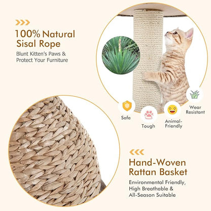 PETSITE Modern Cat Tree Tower, Paper Rope Natural Bowl Shaped with Perch, Scratching Post, Rattan Cat Activity Tree for Kittens, 28" Tall