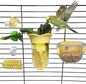 6 PCS Bird Cage Feeder for Vegetable Millet Holder Cage Accessories with Parrot Fruit Forks for Budgie Parrot Cockatiel Lovebirds (Yellow + Feeding Bowl)