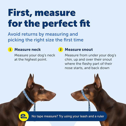 PetSafe Gentle Leader Headcollar No-Pull Dog Collar - Helps Improve Walks - Durable Nylon Construction - Padded Nose Loop - Adjustable Fit - Comfort Walking Halter - Small, Black