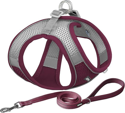 AIITLE Dog Harness, Christmas No-Pull Cat Harness with a Leash, Adjustable Reflective Puppy Vest Harness Escape Proof, Outdoor Walking, Running for Extra Small Dogs and House Cats Burgundy XXXS