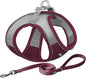 AIITLE No Pull Dog Harness and Leash Set, Christmas Step in Adjustable Dog Harness with Padded Vest for All Weather, Dog Leash with Soft Padded Handle, Easy to Put on Small and Medium Dogs Burgundy S