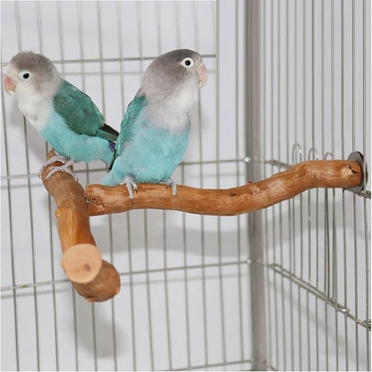 Asixxsix Wood Bird Perch, T Shaped Birdcage Stand Wooden Parrot Perch Stand Perch for Bird Cage Grinding Bird Perch Branches, T Perch Bird Accessory, Easy to Install