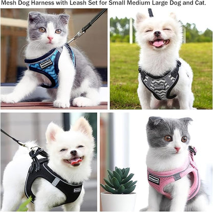 Dog Harness with Leash Set, No Pull Adjustable Reflective Step-in Puppy Pet Vest Harnesses for Small Medium Large Dogs and Cats,Orange S