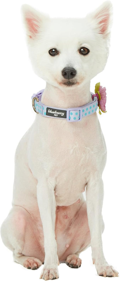 Blueberry Pet Dog Collar - Adjustable Flocking Puppy Collar with Silk Flower, Polka Dot in Pastel Purple, Medium 14.5"-20" - Pink Dog Collars for Small Dogs, Girl Dog Collars