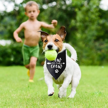 New to The Crew Dog Bandana New Puppy Announcement Gift for New Owners New Puppy Gift New Dog Announcement Photo Props Accessories for Small Medium Dogs Pets (Black)
