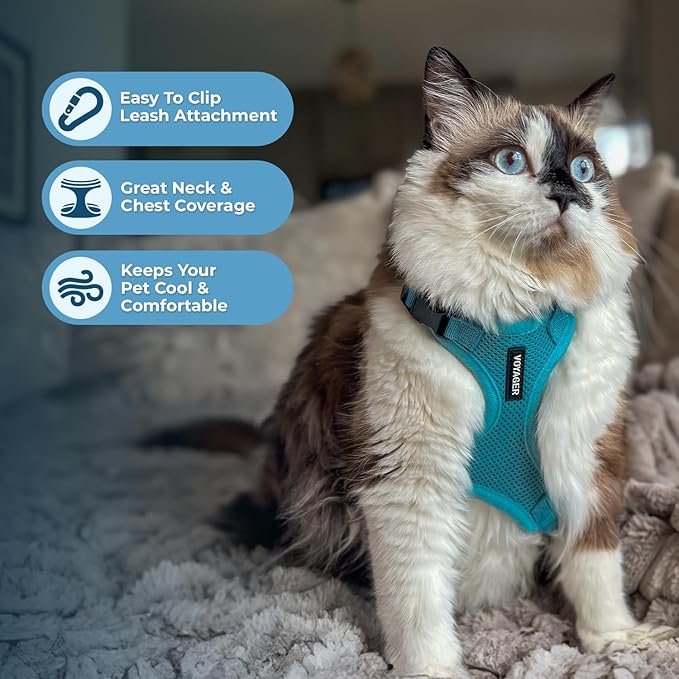 Voyager Escape-Proof Step-in Lock Cat Harness & 5ft Neoprene-Handle Leash Set All-Weather Mesh with Reflective Stitching for Small to Large Cats by Best Pet Supplies, Turquoise, XXXS