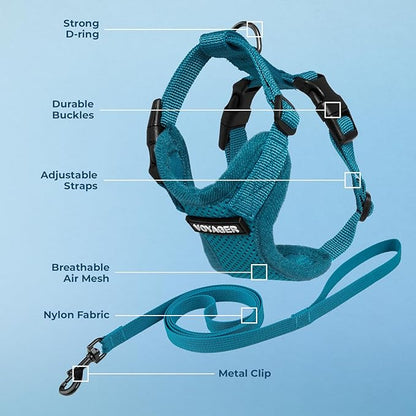 Voyager Escape-Proof Step-in Lock Cat Harness & 5ft Neoprene-Handle Leash Set All-Weather Mesh with Reflective Stitching for Small to Large Cats by Best Pet Supplies, Turquoise, S