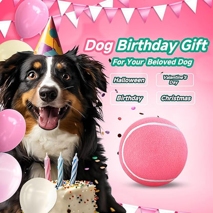 HETOO Large Dog Tennis Balls: 9.5 inch Pink Dog Toys- Giant Big Outdoor Dog Toys Balls- Dog Tennis Ball Toys for Small Medium Large Dogs- Pet Toys Birthday Gift