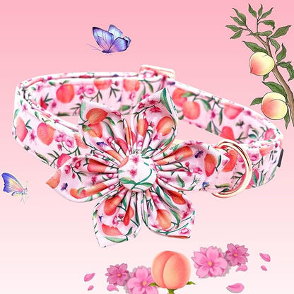 Lionheart Glory Pink Peach Dog Collar with Soft Durable Adjustable Bows