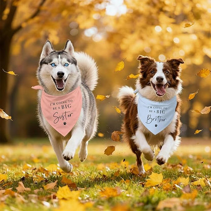 2 Pack Dog Bandanas for Pregnancy Announcement, I'm Going to Be A Big Brother Sister Cute Adjustable Pet Bandana Scarf for Small Medium Large Dogs, Gender Reveal Dogs Accessories (Blue&Pink)