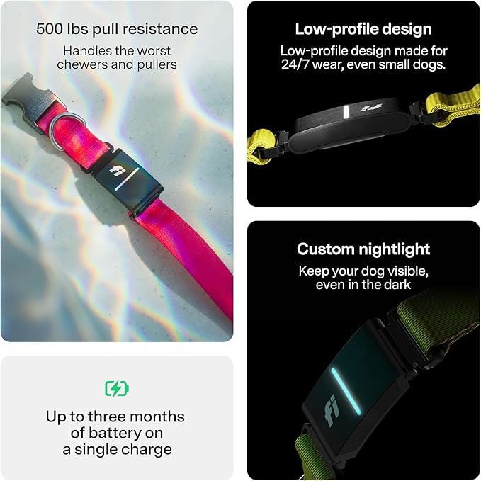 New Fi Series 3+ Smart Dog Tracker Collar [6 Month Membership Included] GPS Tracker for Dogs with Health & Behavior Monitoring, Escape Alerts, Waterproof, LED, Apple Watch Compatible (Gray, Medium)