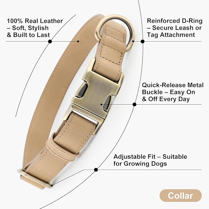 Plutus Pet Genuine Leather Dog Collar – Adjustable Pet Collar with Quick Release Metal Buckle, Soft Real Leather for Small Medium Large Dogs, Heavy Duty & Skin-Friendly (Beige, S)