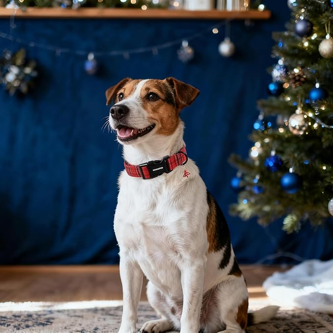 DOGWONG Christmas Plaid Dog Collar, Cute Adjustable Red Tartan Collar, Red Grid Dog Collar with Strong Plastic Buckle for Small Medium Large Dogs,S