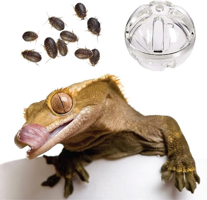 Bearded Dragon Feeder Toy Reptile Foraging Ball Lizard Enrichment Interactive Toy Reptile Terrarium Tank Decor for Lizard,Chameleon Small Animals (3.4 Inch)