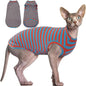 BRKURLEG Hairless Cats T Shirt, Cat Sweaters, Pullover Kitten Shirts, Sleeveless Round Collar Cotton Vest for Cornish Rex Devon Rex Peterbald and Small Dogs Sweater(OrangeBlue Stripes, XL)