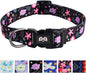 QQPETS Adjustable Soft Dog Collar: Print Flower Pink Multicolor Cute Patterns for XS Small Medium Large Pet Girl Boy Puppy Walking Running Training