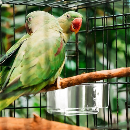 LemonRoad 4 Pcs Bird Cage Feeder Food Water Feeder for Cage Feeding Drinking Bowl Seed Container Dishes Birdcage Tray Replacement Clear Thick Food Trough Box Accessories for Bird Parrot Pigeon Chicken
