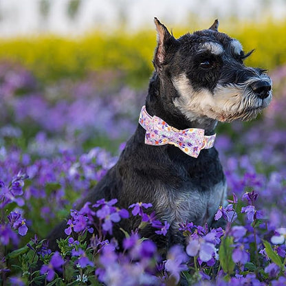 Elegant little tail Dog Collar, Rose Print Pet Collar Summer Dog Collar Durable Metal Buckle Dog Collars Cotton Pet Adjustable Dog Collars for Large Dogs