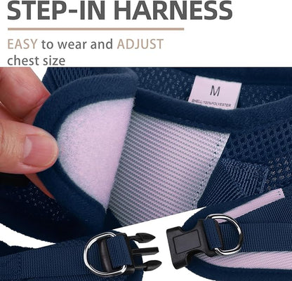 PUPTECK Adjustable Dog Harness Collar and Leash Set Step in No Pull Pet Harness for Small Medium Dogs Puppy and Cats Outdoor Walking Running, Soft Mesh Padded Reflective Vest Harnesses