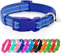 azuza Reflective Dog Collar,Soft Neoprene Padded Pet Collar with ID Tag Ring,Adjustable for Puppy and Small Dogs,Royal Blue,XS