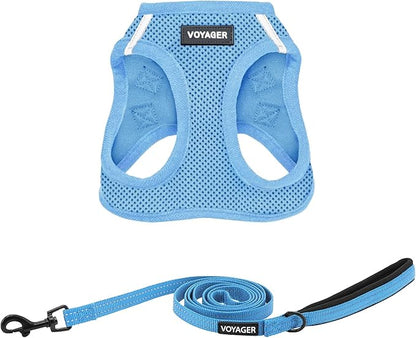 Best Pet Supplies Voyager Step-in Air All Weather Mesh Harness and Reflective Dog 5 ft Leash Combo with Neoprene Handle, for Small, Medium and Large Breed Puppies - Set (Baby Blue), M
