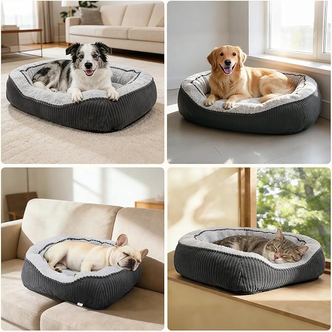 SIWA MARY Small Dog Beds for Small Dogs Washable, Rectangle Dog Bed Medium Size Dog, Orthopedic Dog Bed, Soft Calming Sleeping Puppy Bed, Durable Pet Sofa Bed with Anti-Slip Bottom, S(20"x19"x6")