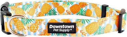 Downtown Pet Supply - Best & Fancy Dog Collar - Lightweight Adjustable with Quick Buckle & D-Ring - Hand Wash Safe - Pineapple - Large