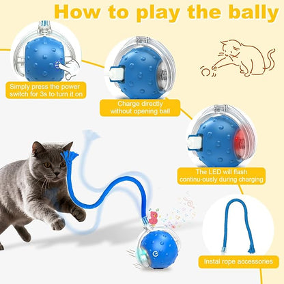 2-Pack Interactive Cat Toys Ball for indoor Cats＆Dog,Automatic Cat Toy with Smart Obstacle Avoidance &Bird Chirps ,Includes 4 Cat Spiral Spring,Cat Enrichment Toys for Indoor Cats(Orange＆Blue)